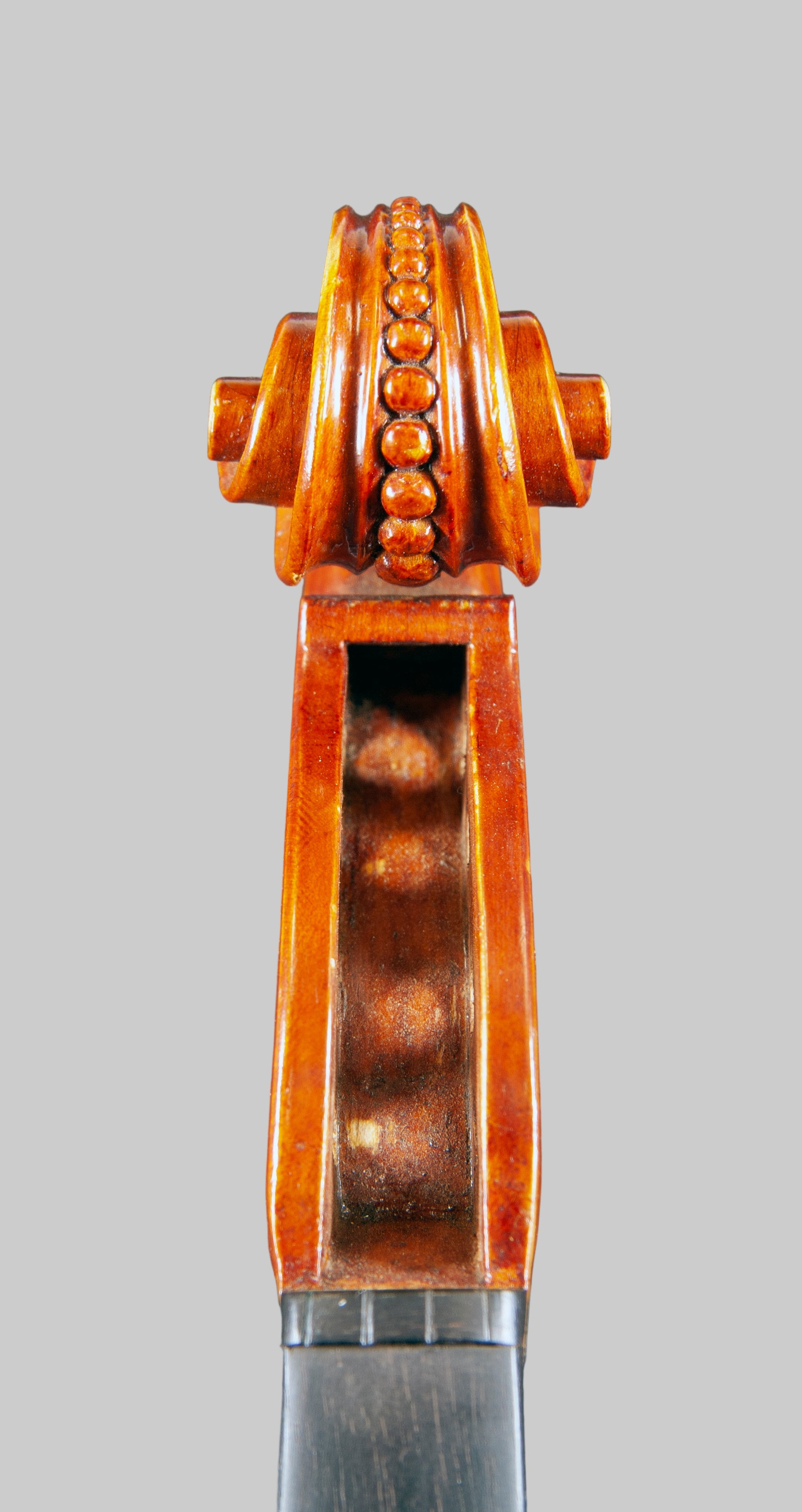 Close-up of a violin's fiddle head with a clear background