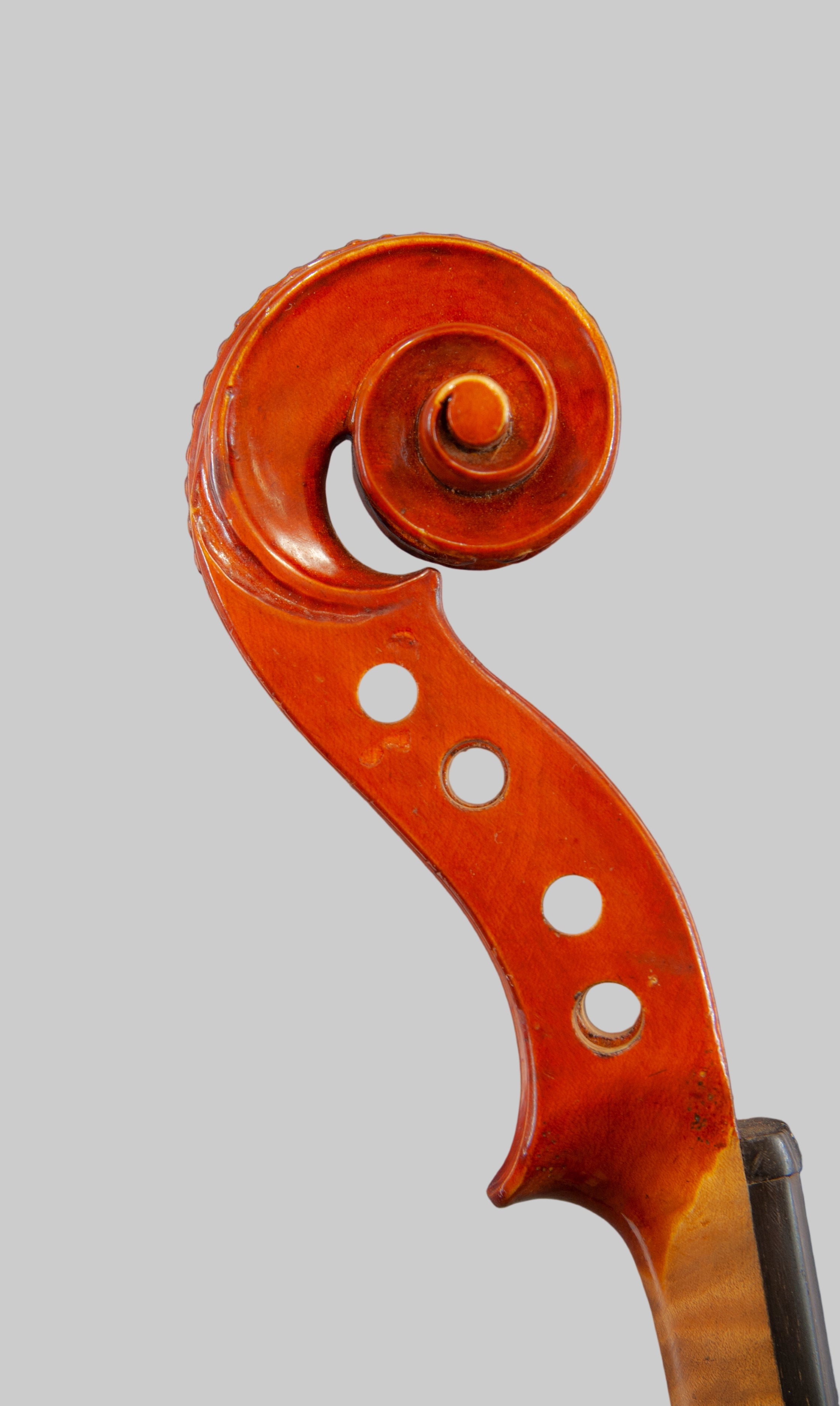 Close-up of a violin's fiddle back on a gray background