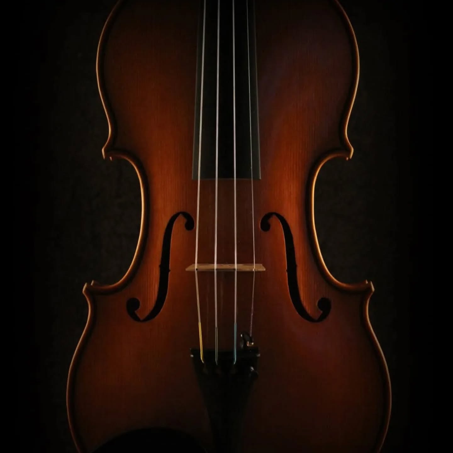 Fine Handmade Violin