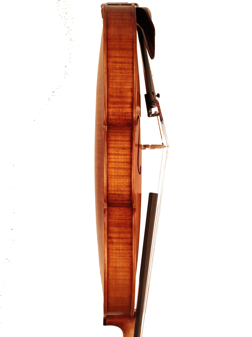 Wooden double bass body on a white background