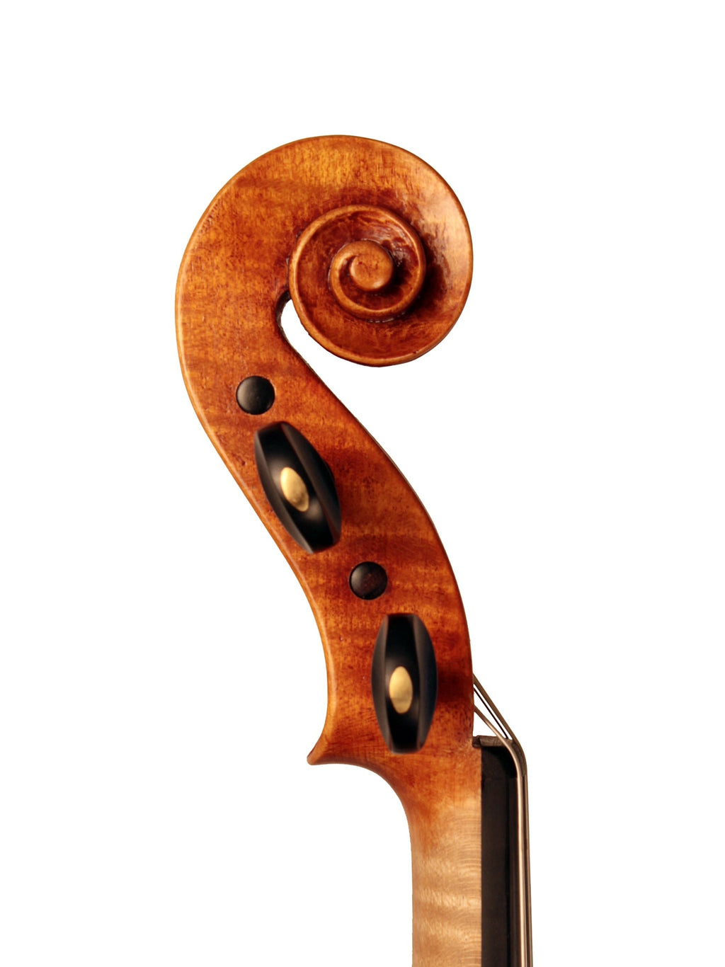 Close-up of a violin's wooden scroll on a white background