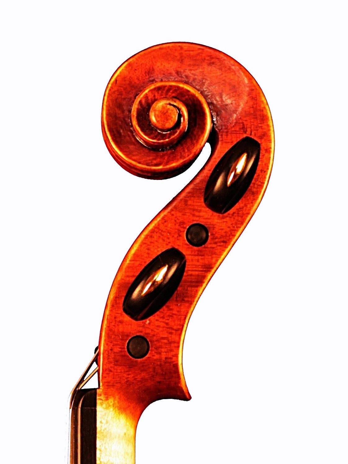 Violino envelhecido inspirado em Stefano Scarampella