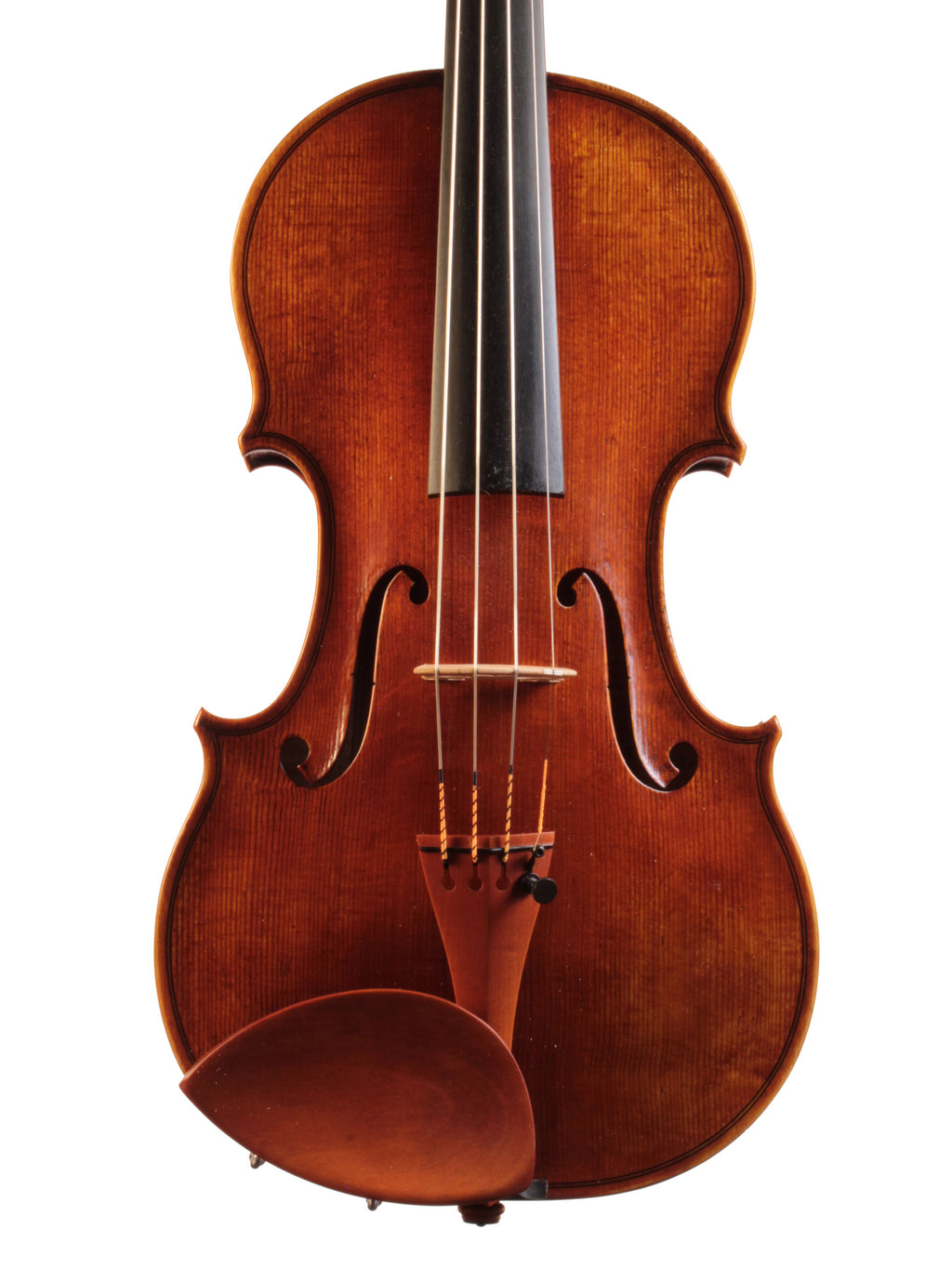 Violin on a white background