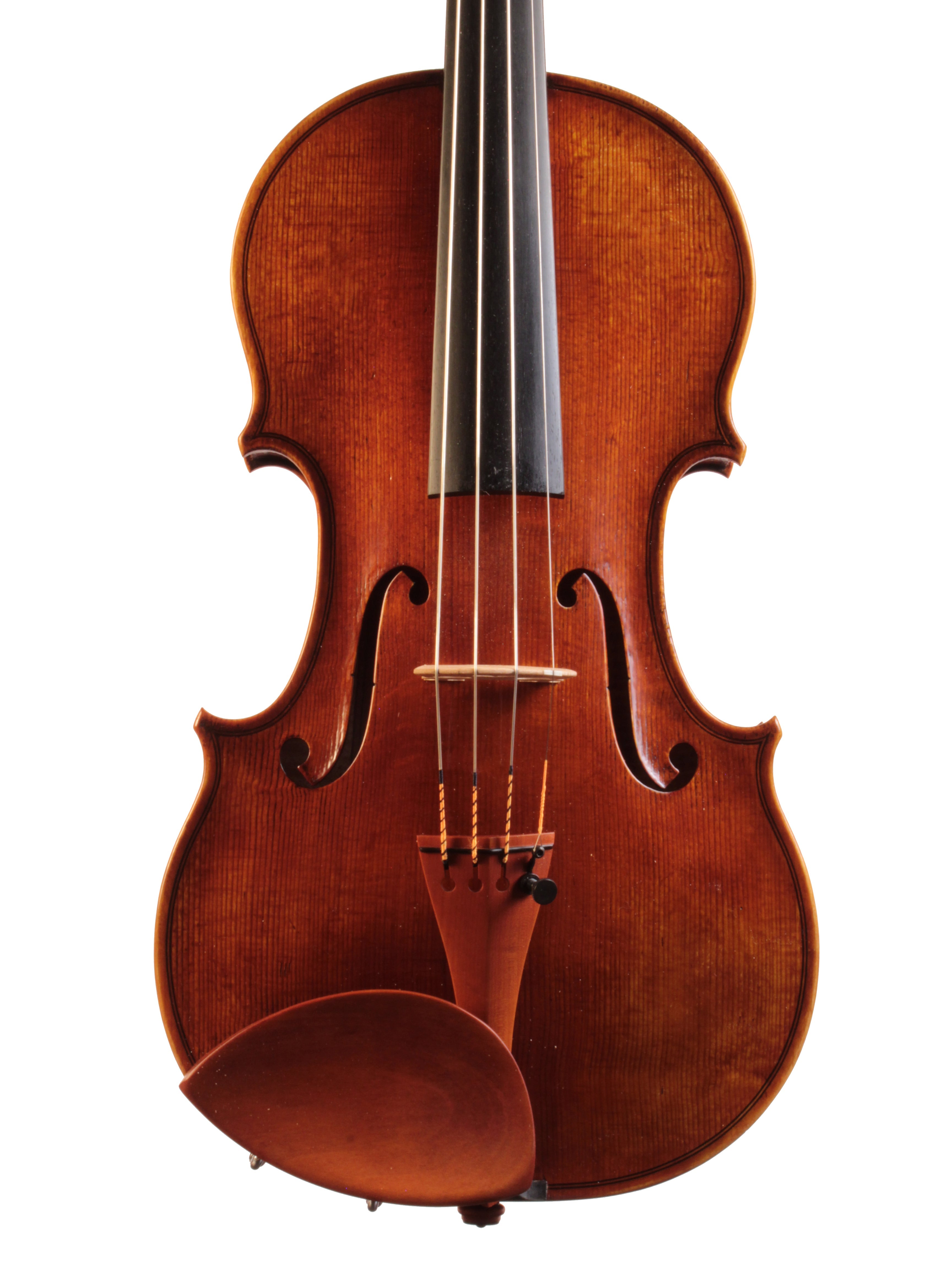 Violin on a white background