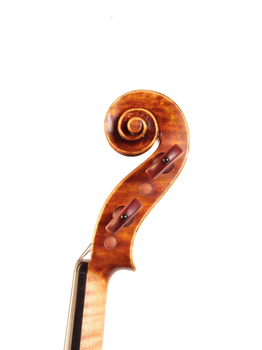 Close-up of a violin's wooden scroll on a white background