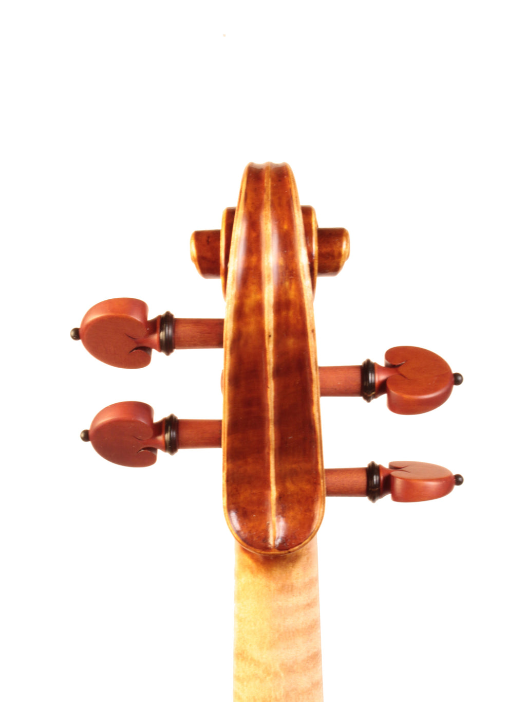 Close-up of a violin's fiddle back and scroll on a white background