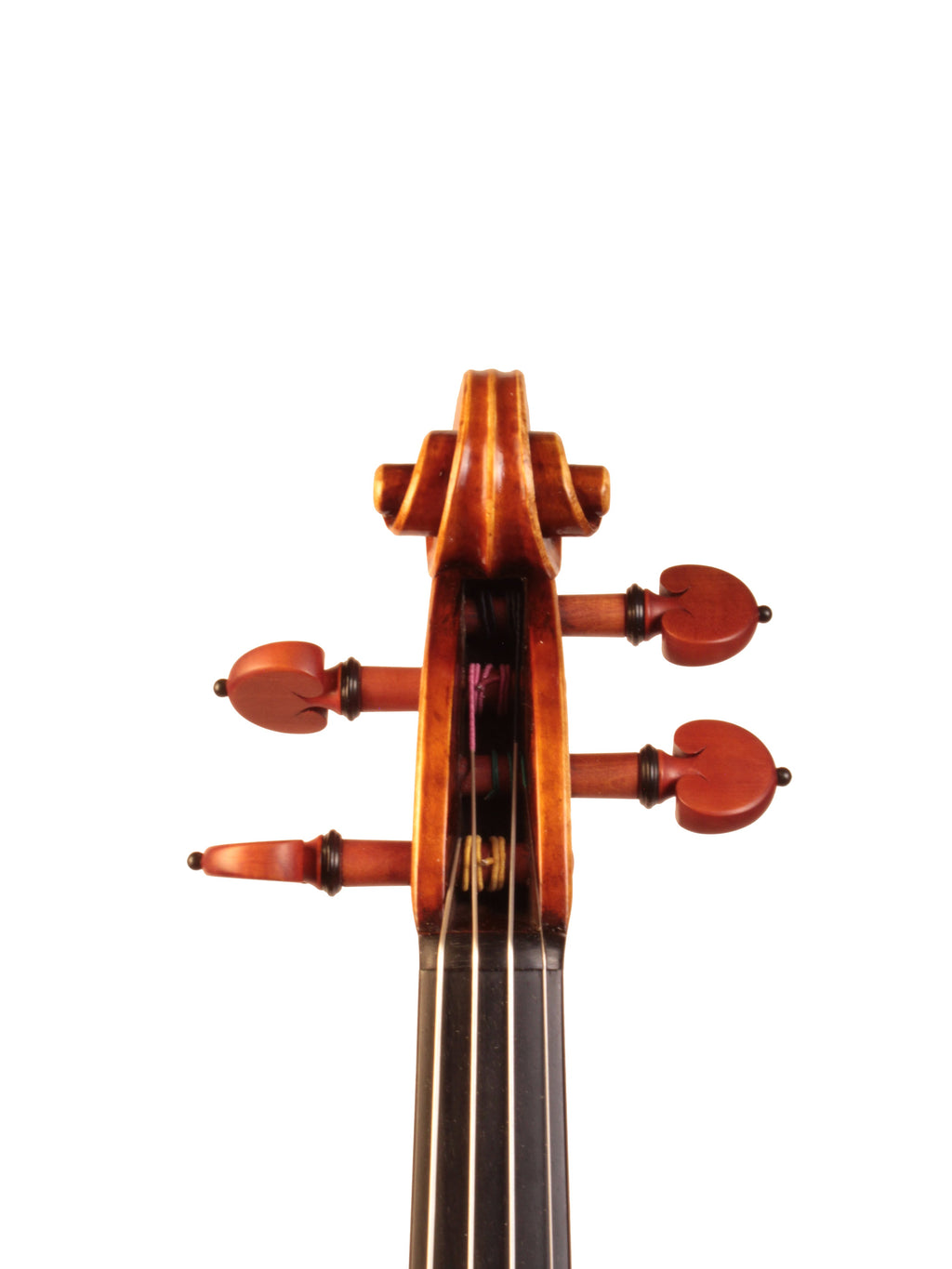 Close-up of a violin's fiddle back on a white background