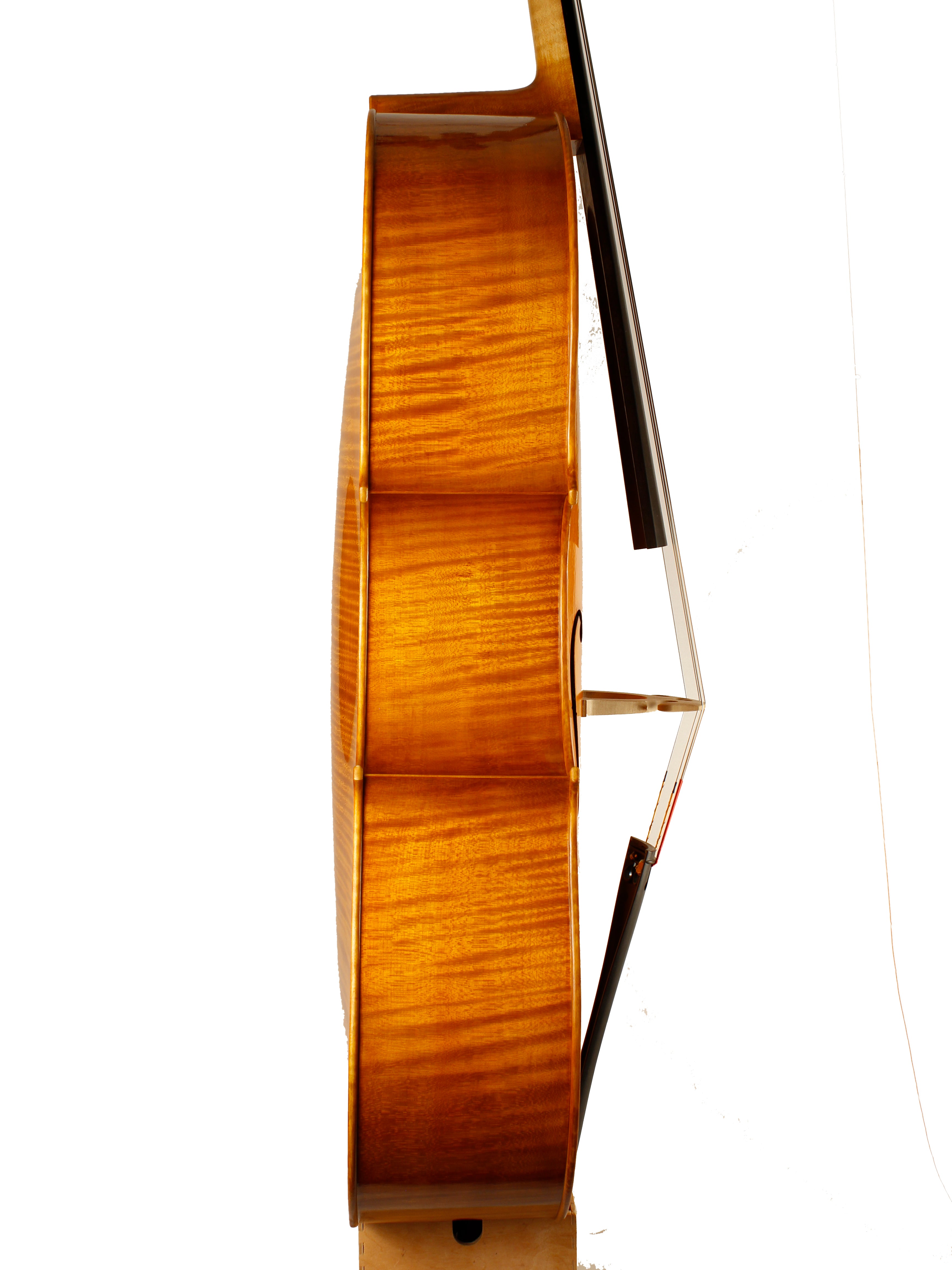 Cello Inspired by the Montagnana Model