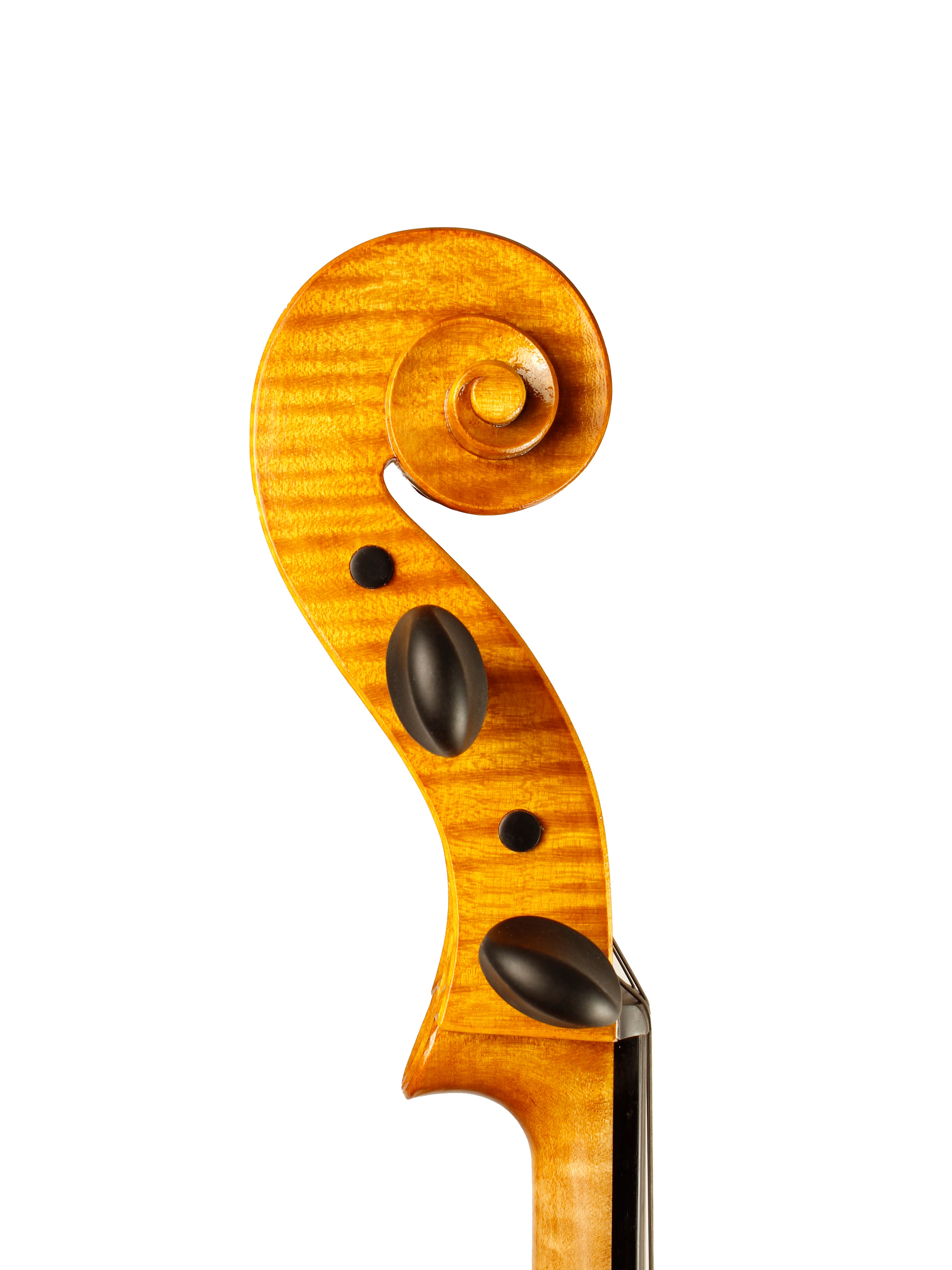 Cello Inspired by the Montagnana Model