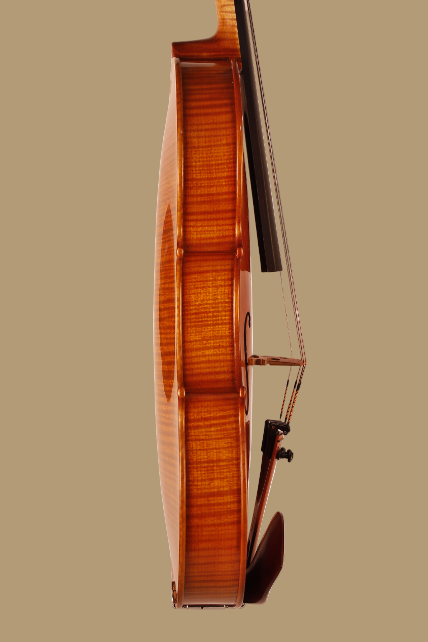 Side view of a violin with a bow on a white background